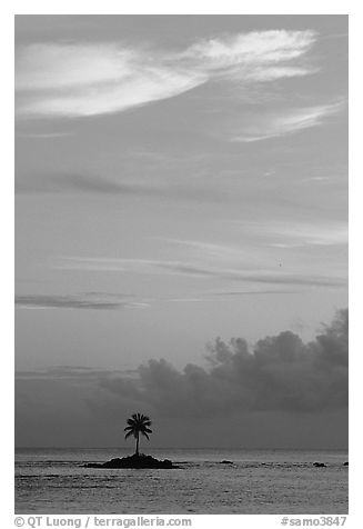 Lone coconut tree on a islet in Leone Bay, sunset. Tutuila, American Samoa (black and white)