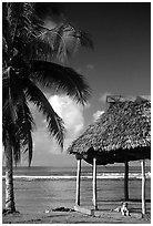 Beach fale with dog near Amouli. Tutuila, American Samoa (black and white)