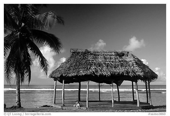 Beach fale with dog near Amouli. Tutuila, American Samoa (black and white)