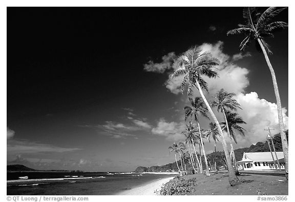 Palm-lined beach in village of Auasi. Tutuila, American Samoa