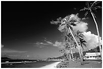 Palm-lined beach in village of Auasi. Tutuila, American Samoa (black and white)