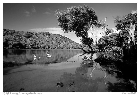 Pala quicksand lake. Aunuu Island, American Samoa