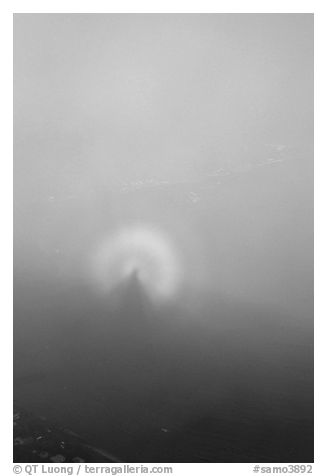 Specter of Broken in the fog of Mount Alava. National Park of American Samoa (black and white)