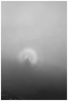 Specter of Broken in the fog of Mount Alava. National Park of American Samoa ( black and white)