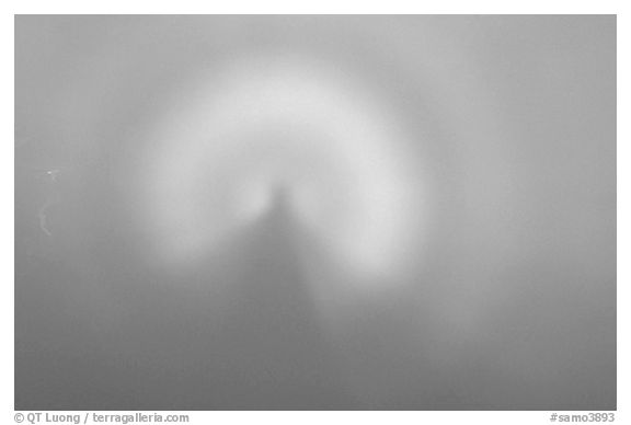 Specter of the Broken from Mount Alava. National Park of American Samoa (black and white)