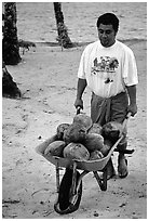 Villager carying coconuts in a wheelbarel. Tutuila, American Samoa (black and white)