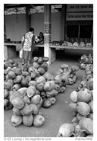 Coconuts at a fruit stand in Iliili. Tutuila, American Samoa (black and white)