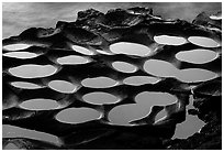 Water-filled ancient grinding stones (foaga) near Leone at sunset. Tutuila, American Samoa (black and white)