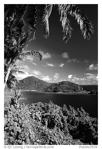 View over Masefau Bay. Tutuila, American Samoa (black and white)