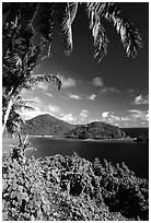 View over Masefau Bay. Tutuila, American Samoa (black and white)