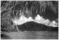 Masefau Bay and Village. Tutuila, American Samoa ( black and white)