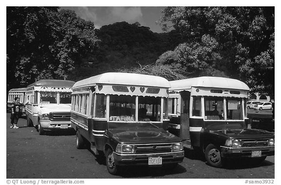 Decorated aiga busses, Pago Pago. Pago Pago, Tutuila, American Samoa (black and white)