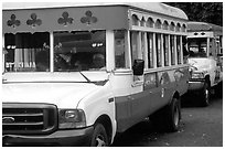 Colorful aiga busses, Pago Pago. Pago Pago, Tutuila, American Samoa ( black and white)