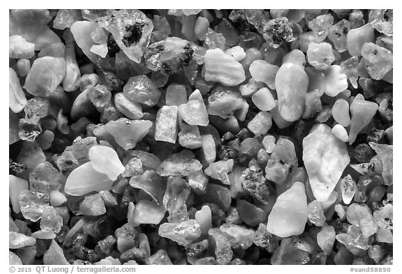 Sand Beach, Acadia National Park.  (black and white)