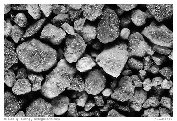 Ohanapecosh River, Mount Rainier National Park.  (black and white)