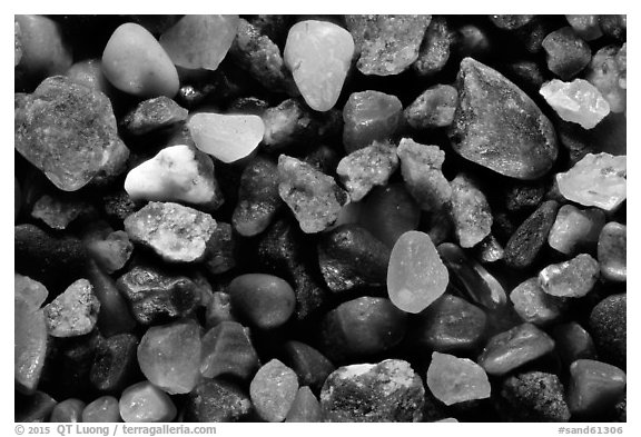 Enderts Beach, Redwood National Park.  (black and white)