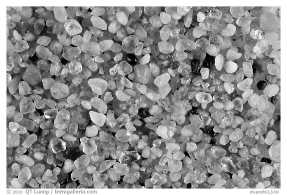 Kelso Dunes, Mojave National Preserve, California.  (black and white)