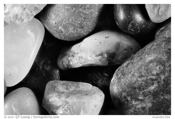 South Beach, Pacific Rim National Park, Canada.  (black and white)