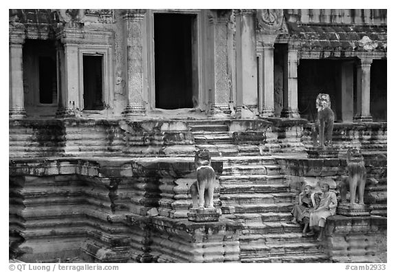 Buddhist monks on stairs, Angkor Wat. Angkor, Cambodia