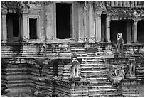 Buddhist monks on stairs, Angkor Wat. Angkor, Cambodia (black and white)