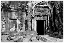 Roots of giant bayan tree encroaching on ruins in Ta Prom. Angkor, Cambodia (black and white)