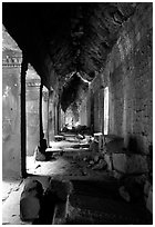 Corridor, Ta Prom. Angkor, Cambodia ( black and white)