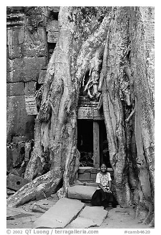 Girl sits at the base of huge bayan tree encroaching on ruins in Ta Prom. Angkor, Cambodia (black and white)