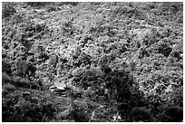 Hillside village in luxuriant jungle. Mekong river, Laos (black and white)