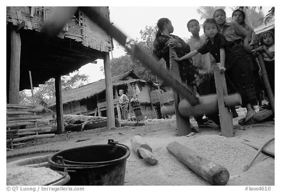 Preparation of rice in a small hamlet. Mekong river, Laos (black and white)