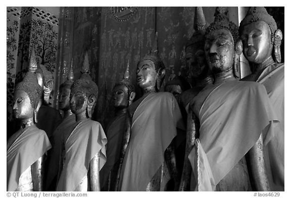 Drapped Buddha statues, Wat Xieng Thong. Luang Prabang, Laos (black and white)