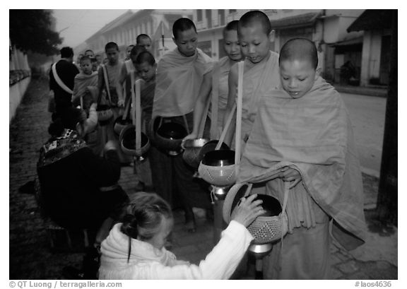 Women give alm during morning procession of buddhist monks. Luang Prabang, Laos (black and white)