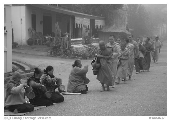 Women line up to offer alm to buddhist monks. Luang Prabang, Laos