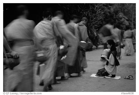 Buddhist monks walking past alm-giving woman. Luang Prabang, Laos