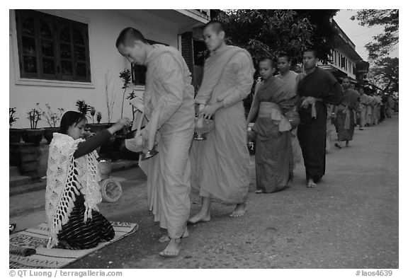 Buddhist monks receiving alm from woman. Luang Prabang, Laos (black and white)