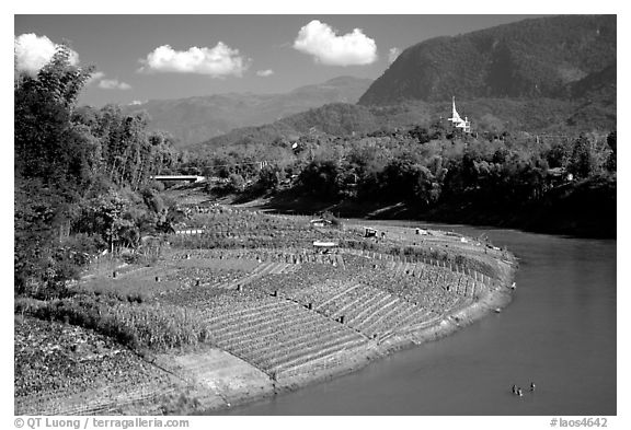 Fields on the banks of the Nam Khan river. Luang Prabang, Laos (black and white)