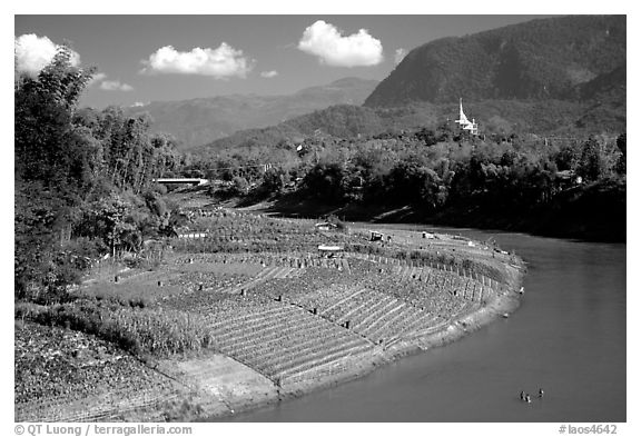 Fields on the banks of the Nam Khan river. Luang Prabang, Laos