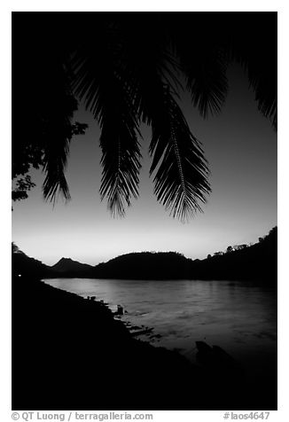 Sunset on the Mekong river framed by coconut trees, Luang Prabang. Mekong river, Laos (black and white)