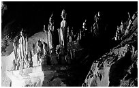 Hundreds of wooden Buddhist figures on wall shelves, Pak Ou caves. Laos ( black and white)