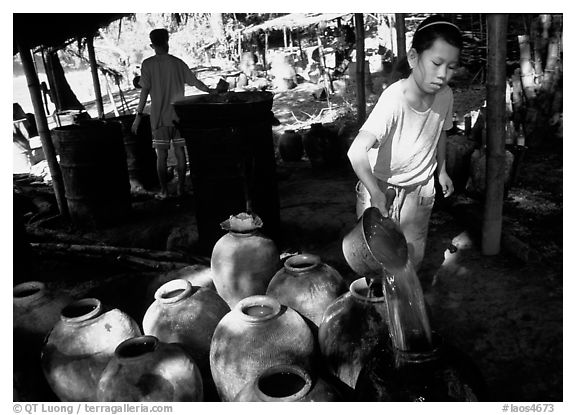 Making of the Lao Lao, strong local liquor in Ban Xang Hai village. Laos (black and white)