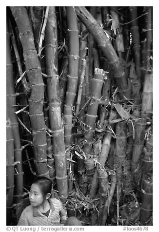 Girl and bamboo, Ban Xan Hai. Laos (black and white)