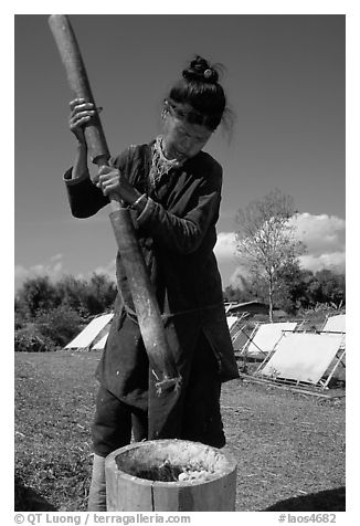 Paper making in Ban Nam Sang village. Laos (black and white)