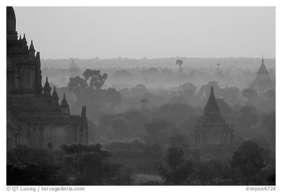 Receeding lines through the dawn mist. Bagan, Myanmar