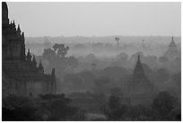 Receeding lines through the dawn mist. Bagan, Myanmar ( black and white)
