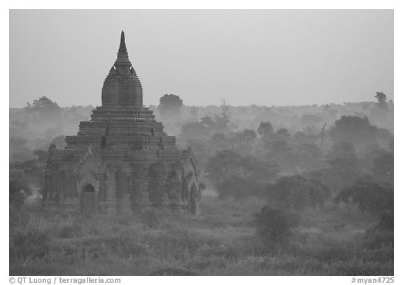 Pastel colors at dawn. Bagan, Myanmar (black and white)