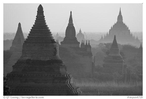 View over temples from Mingalazedi. Bagan, Myanmar (black and white)