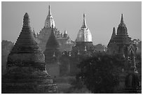 Innumerable temples seen from Mingalazedi. Bagan, Myanmar (black and white)