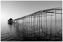 Stilts huts. Inle Lake, Myanmar (black and white)