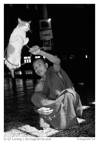 Jumping cat and monk. Inle Lake, Myanmar (black and white)