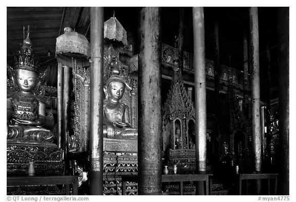 Jumping cat monestary. Inle Lake, Myanmar