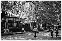 Leafy street. Yangon, Myanmar ( black and white)